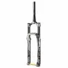 Forks / Accessories Cane Creek Helm Coil Fork 29"