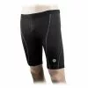 Aerius Cycling Shorts 10-Pannel