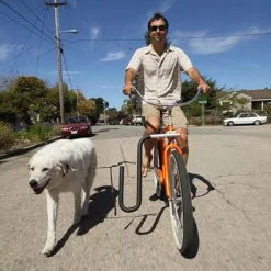 Racks / Storage Moved By Bikes MBB Dog Runner