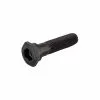 Dia-Compe Dia Compe Freestyle Hollow Top Cap Bolt