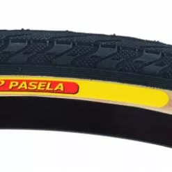 Panaracer Pasela Tire 20"