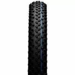 Schwalbe Racing Ray SG Addix Speedgrip TLE Tire 29