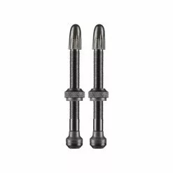 Tubes / Accessories Schwalbe Tubeless Aluminum Valve Pair